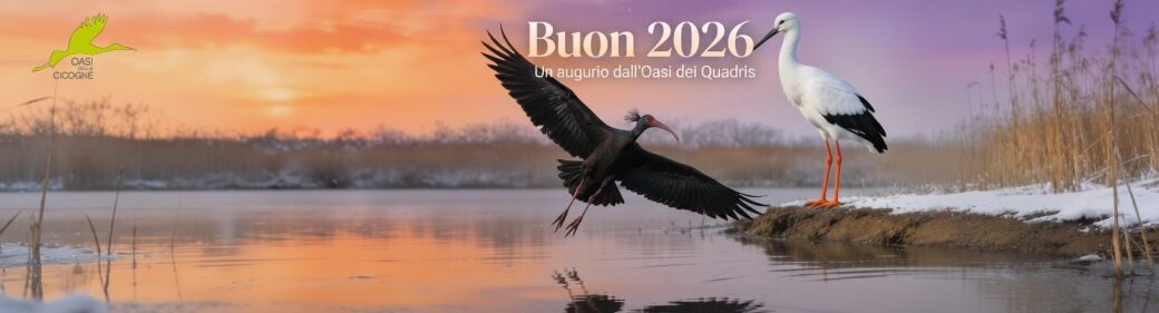 Oasi delle Cicogne